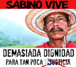 Sabino_vive